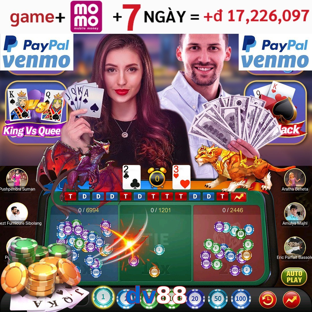 dv88